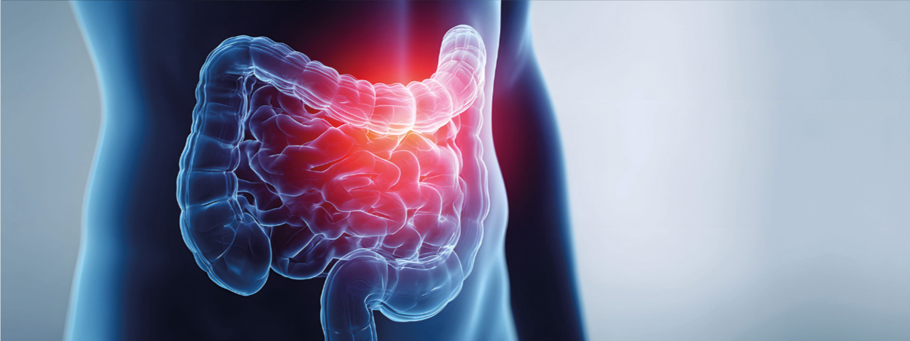 CED After Work 2026 CED After Work 2026